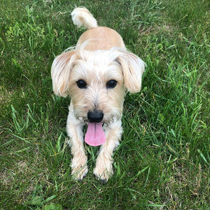 Meet your Posher, Kim